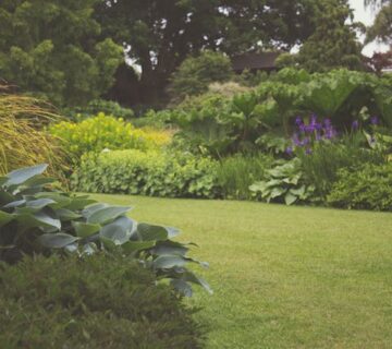 Jak urządzić ogród minimalistyczny - Pomysły nowoczesnego ogrodu