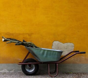 domek narzędziowy jako mini magazyn w ogrodzie